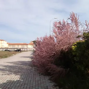 https://in-parco-naturale-con-accesso-diretto-alla-spiaggia.it-tuscanyhotel.com